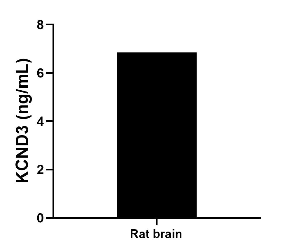 The mean KCND3 concentration was determined to be 6.85 ng/mL in rat brain tissue extract based on a 4.70 mg/mL extract load.